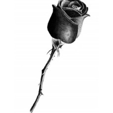 Ароматизатор для табака Оригинальный черный