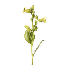 Ароматизатор для табака Дикий табак